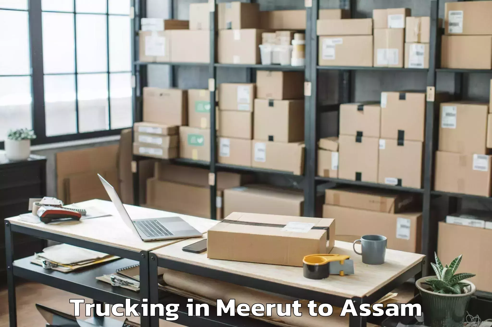 Trusted Meerut to Iiit Guwahati Trucking